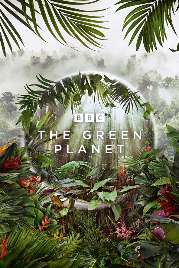 دانلود مستند The Green Planet سیاره سبز